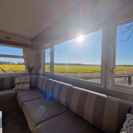 Chalet 'Como La Flor' Julianadorp Flowerfields Overview! 外观 照片