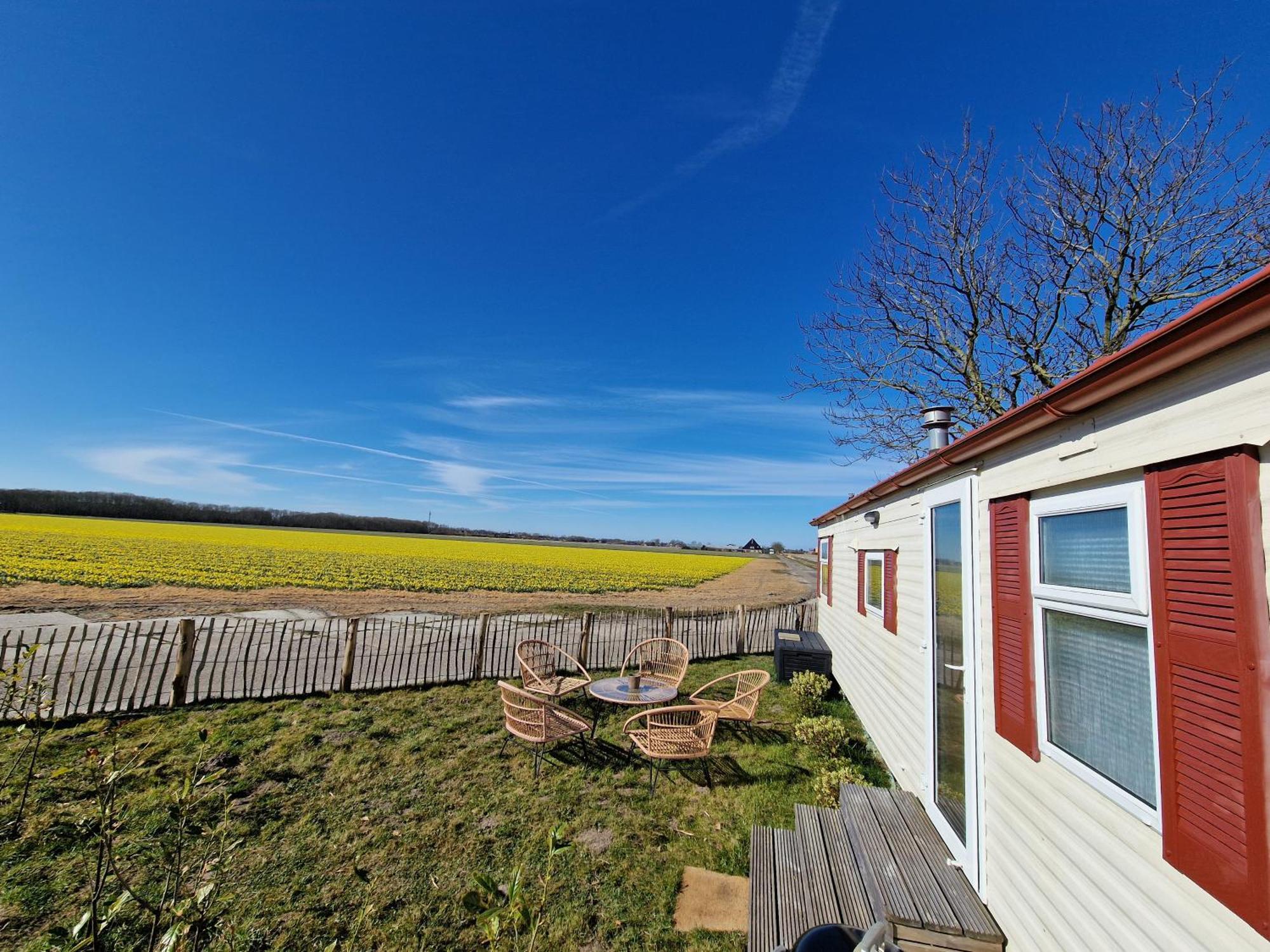 Chalet 'Como La Flor' Julianadorp Flowerfields Overview! 外观 照片